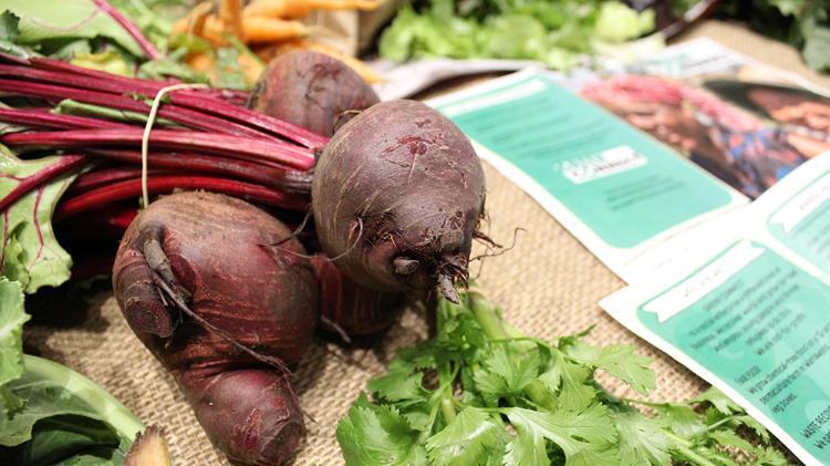 Beetroot bunch, leaves of lettuce and carrots on a mesh with pamphlets.