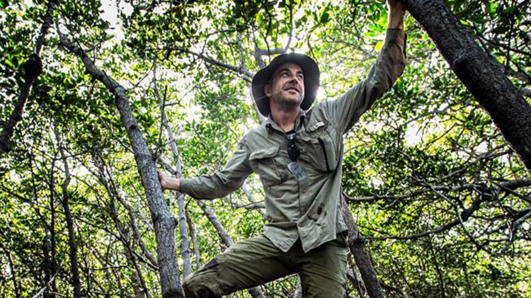 A man dressed in green is climbing trees