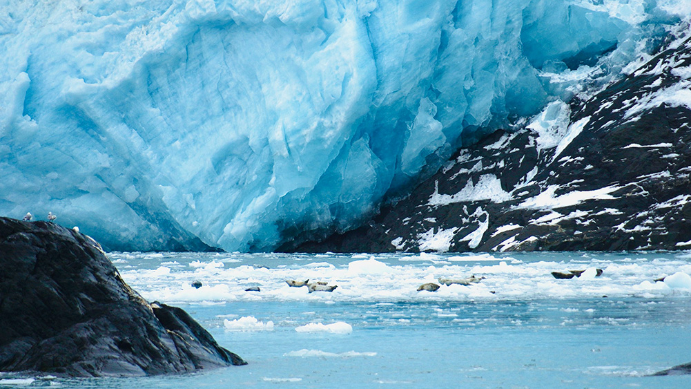 A glacial blue ice formation looms over a tranquil waterway, with small icebergs and seals visible near rocky shorelines.
