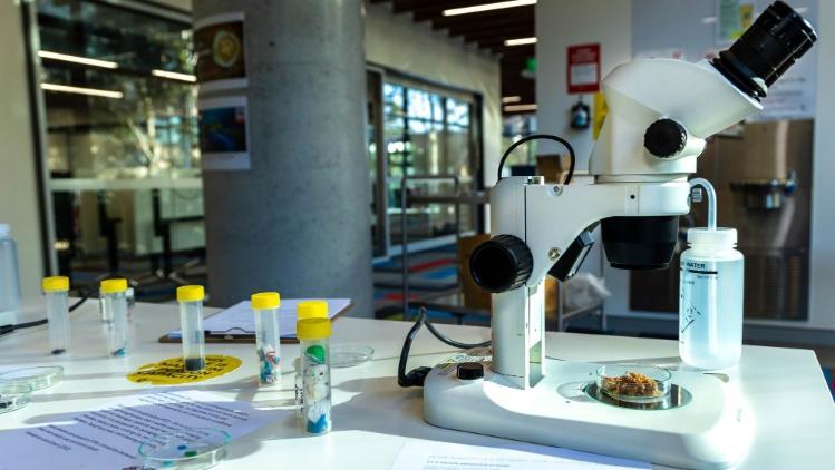 A white microscope sits on a bench with small testtubes with yellow lids close by.