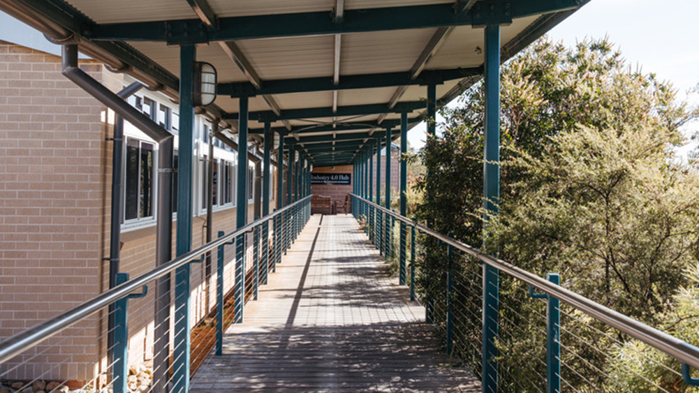 Covered walkway with metal railings and wooden floor leads to a brick building entrance. Sunlight creates patterns on the walkway, flanked by trees.