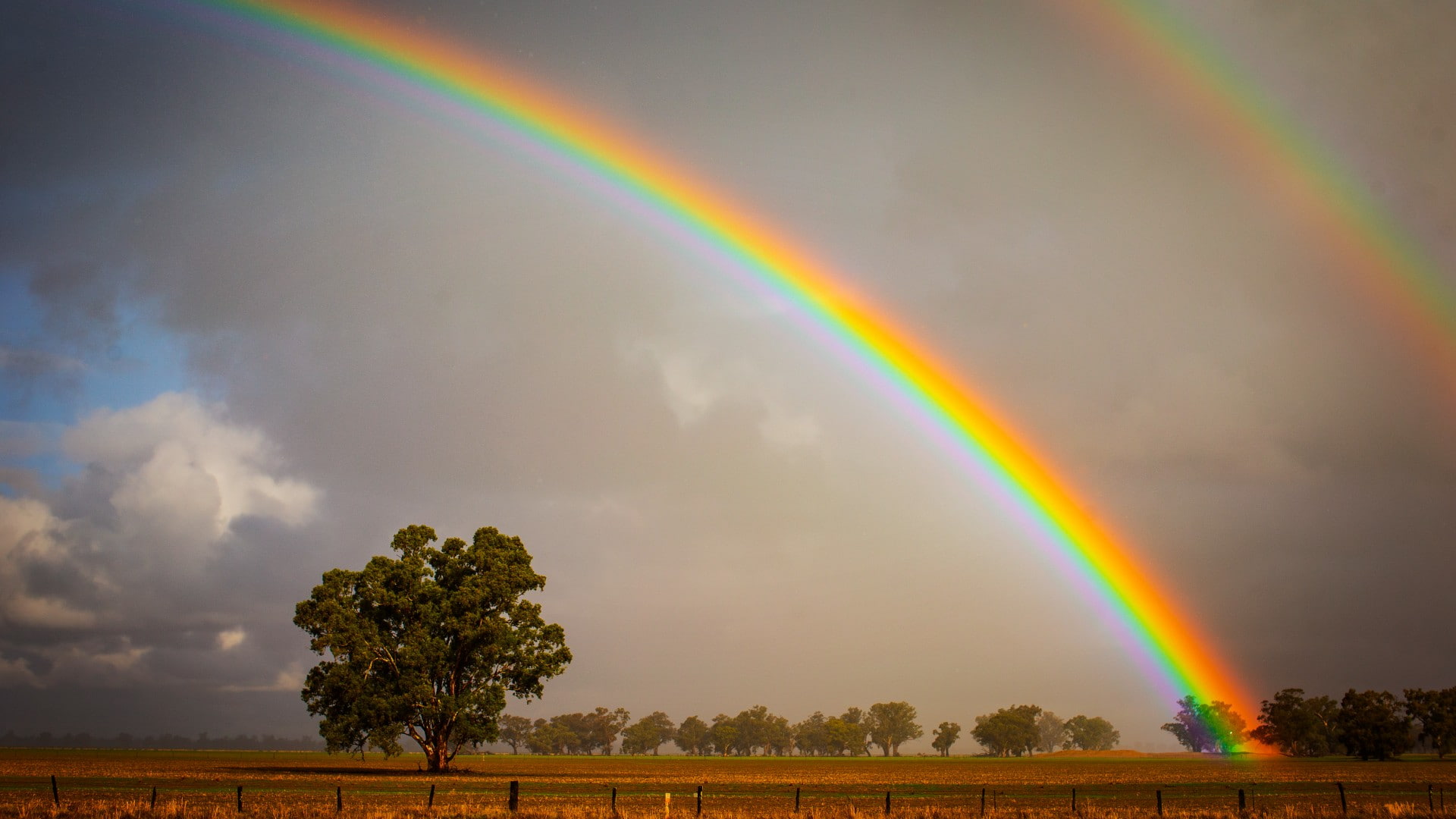 Two rainbows are seen over a barren field, with a tree in the left hand corner of the image. Photo: Paul Jones
