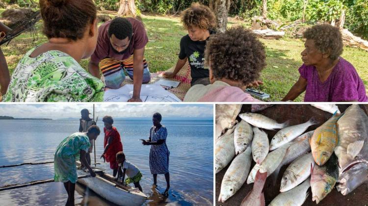 A collage of images from ANCORS  community-based fisheries management  project