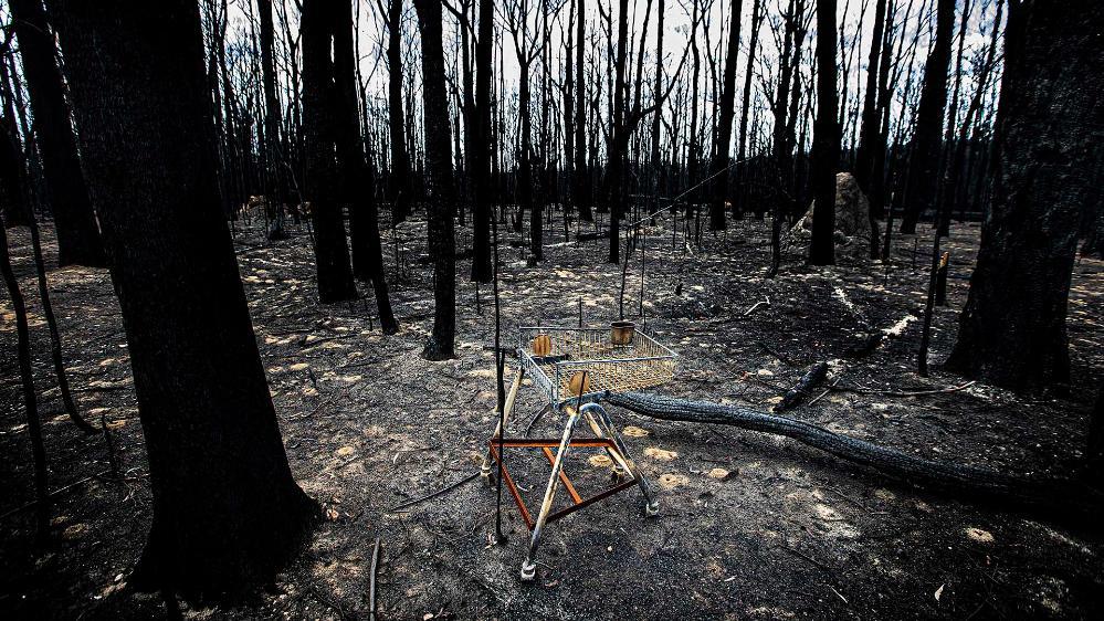 A disused shopping trolley in a burnt out forest following the 2019/2020 bushfire crisis
