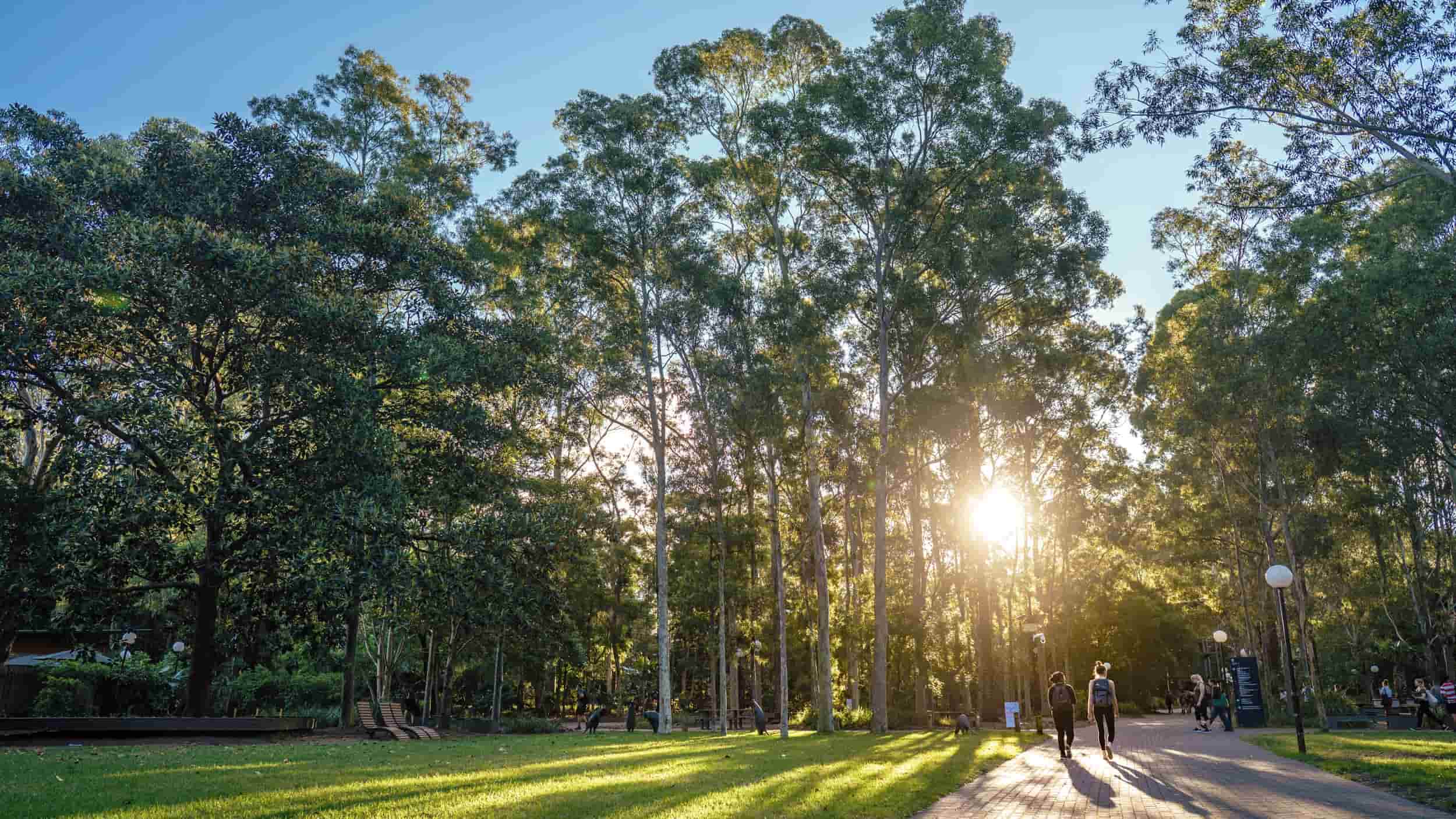 2025: Sustainability report shows real-world impact on climate, equity and education – University of Wollongong – University of Wollongong – UOW