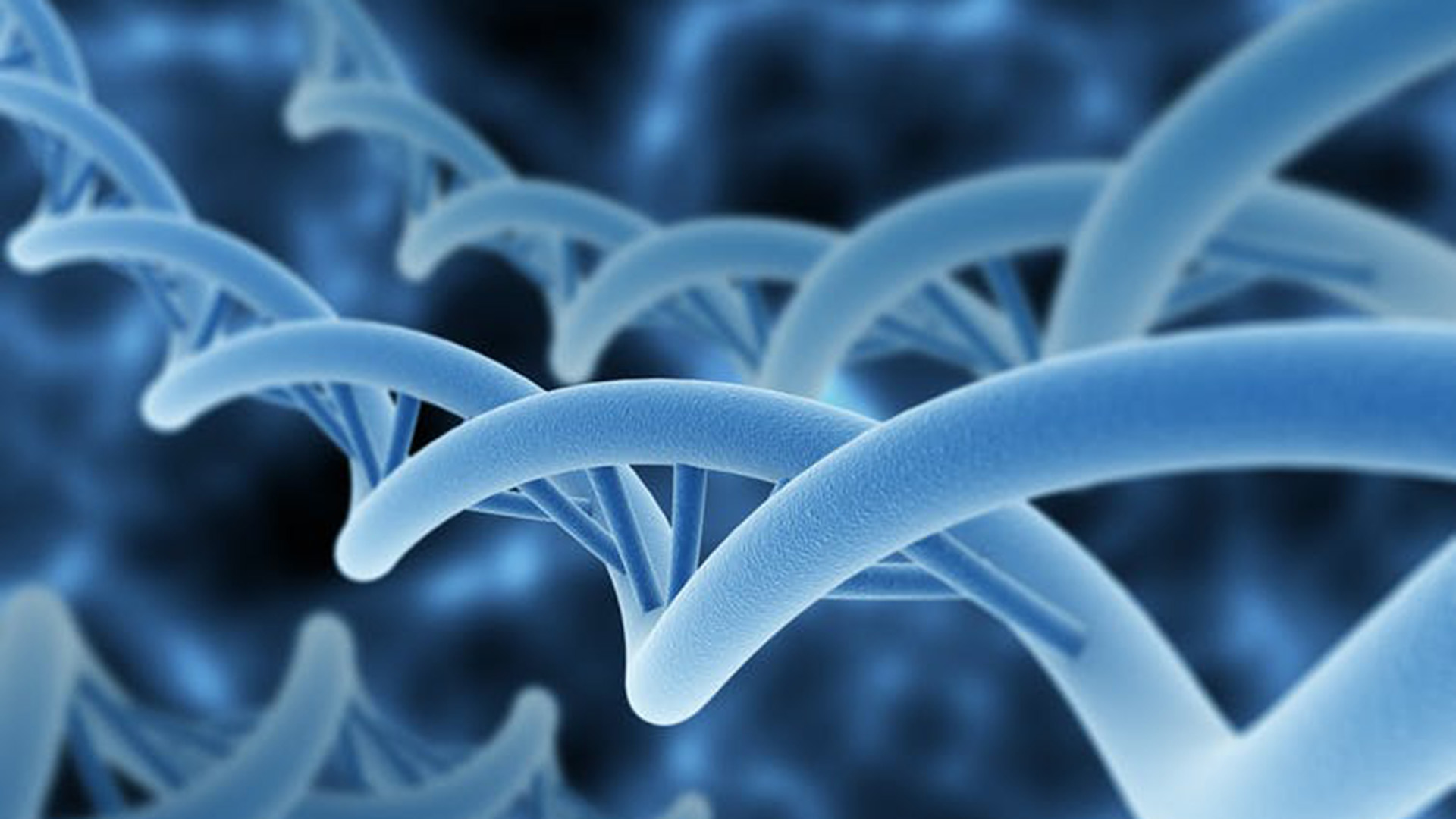 Stock image from Shutterstock of DNA double helix
