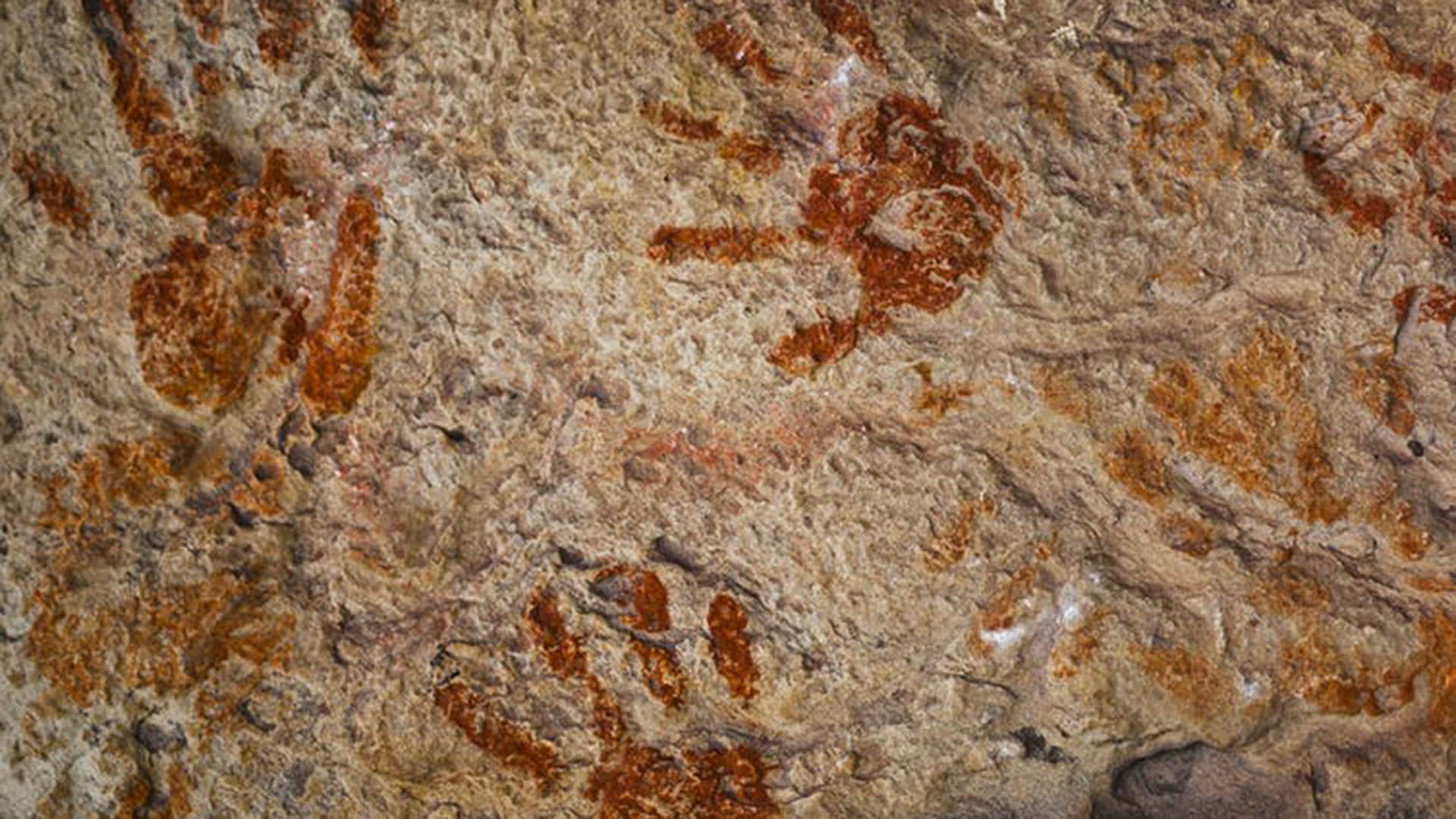 image of indigenous Australian cave art for a Conversation article. Picture from Shutterstock