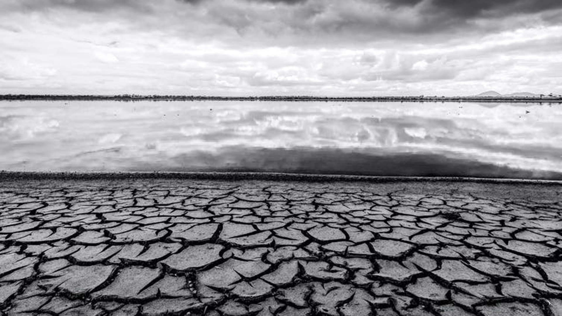 Drying wetlands in Australia. Shutterstock