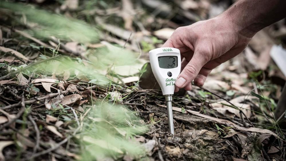 A thermometer is placed into the bushland group at a research site on the NSW South Coast. Photo: Paul Jones