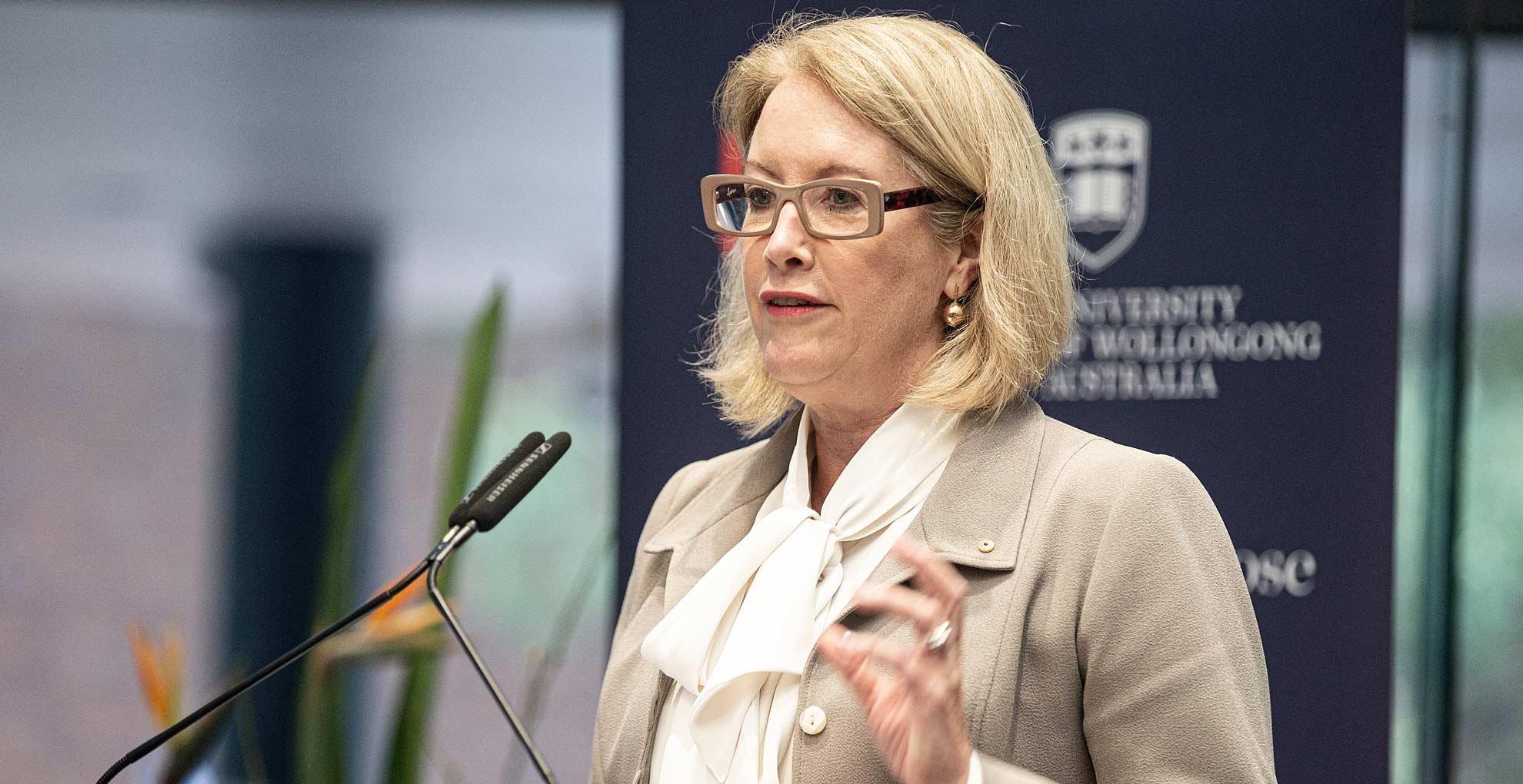 Elizabeth Broderick delivers the keynote address at the Athena SWAN celebration at UOW. Photo: Paul Jones