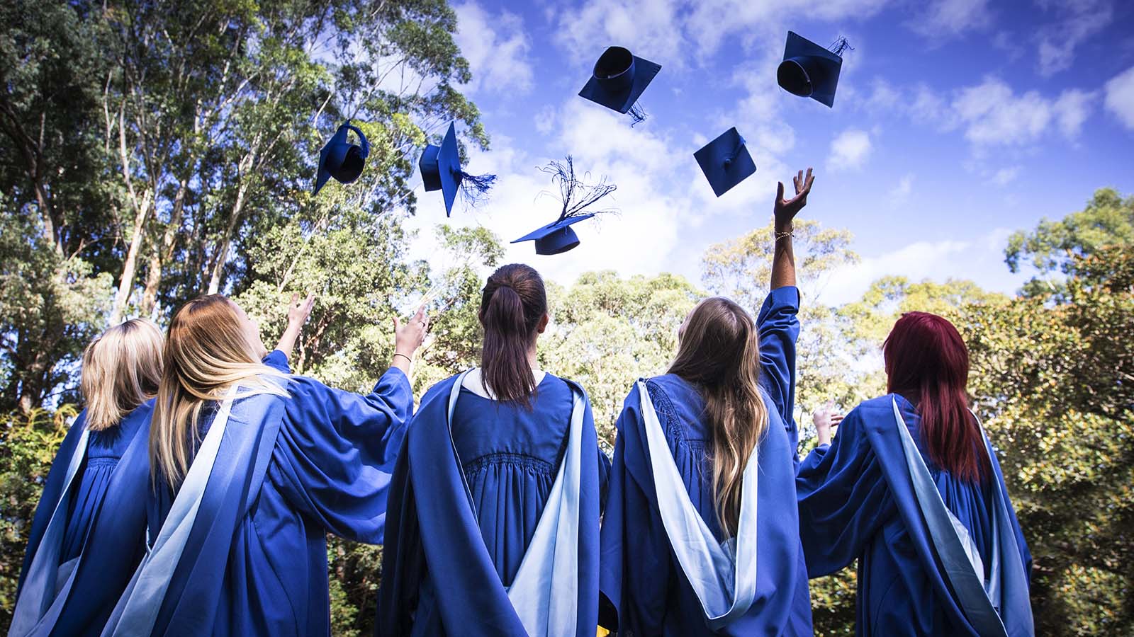 Uow Ranking 2025 | University of Wollongong ranks in top 250 in THE World ...