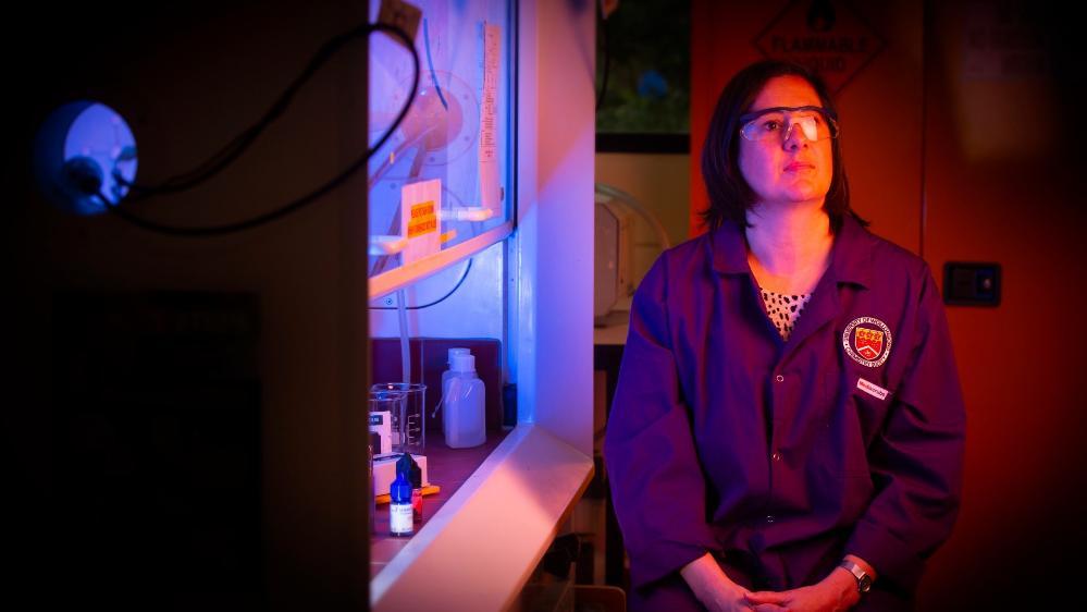 Dr Jody Morgan sits at a desk in a laboratory at UOW. Photo: Paul Jones