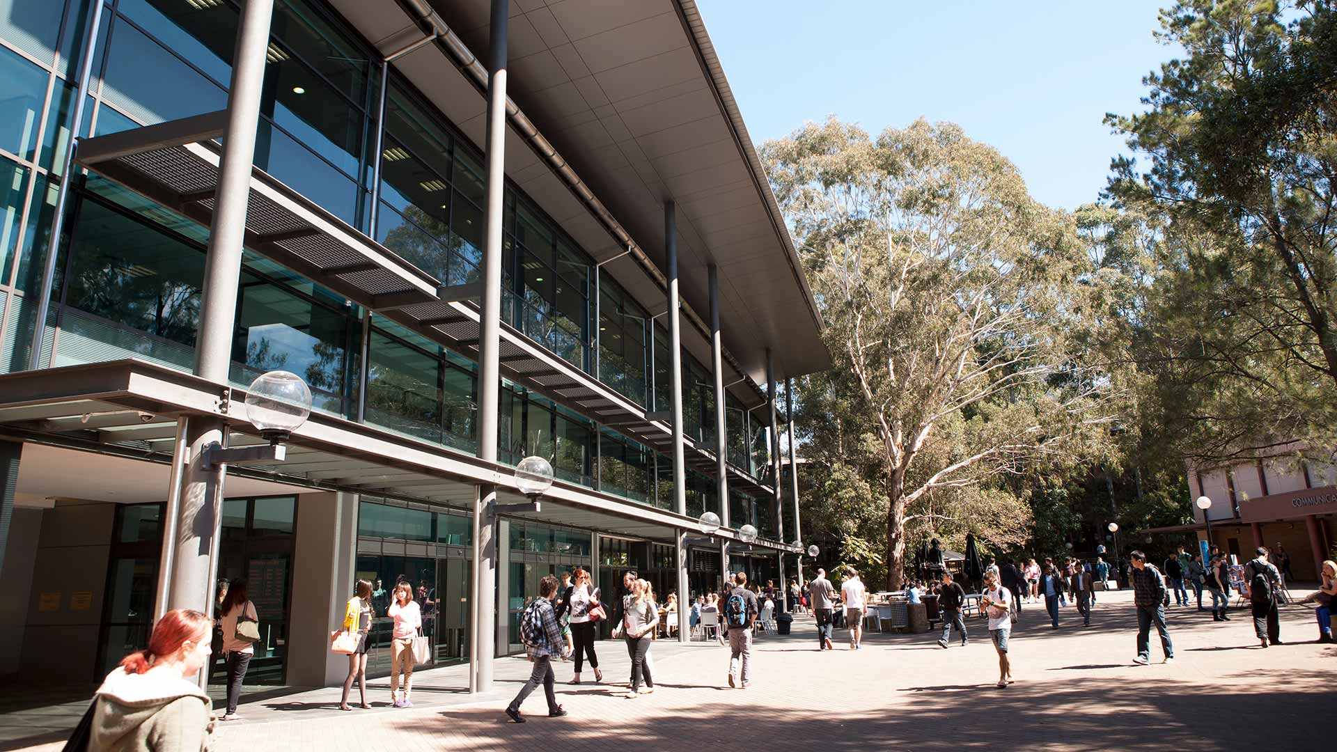 Students in courtyard near Library entrance