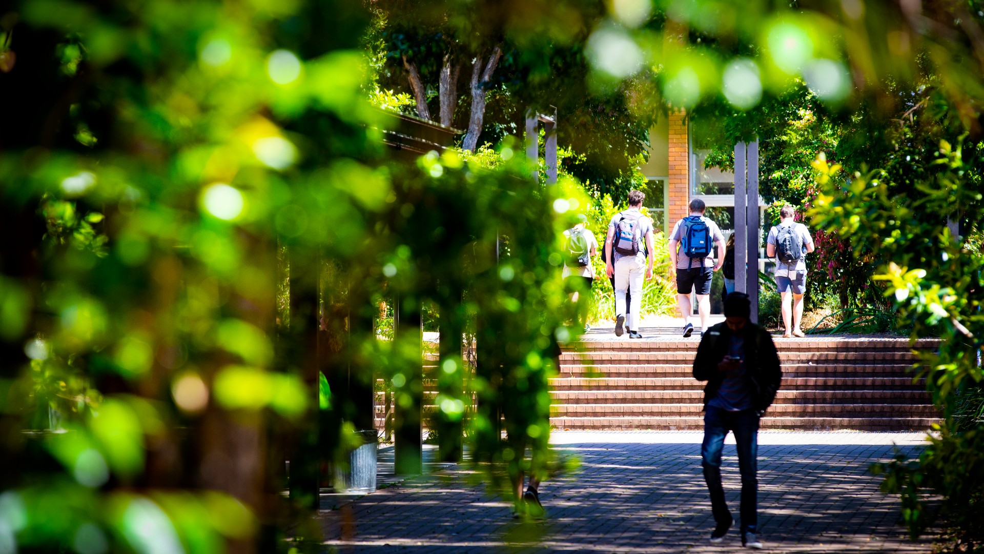 Students walk among the trees on Wollongong campus. Photo: Paul Jones