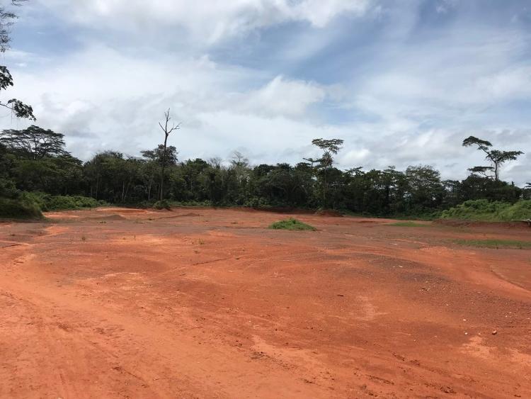 Newly deforested earth in Africa, with red sand and no trees. Photo: Mighty Earth