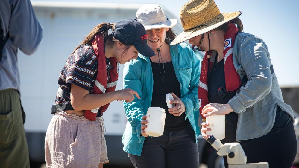 Professor Helen McGregor (centre) with students examining plankton fished off the coast of Wollongong. Photo: Paul Jones