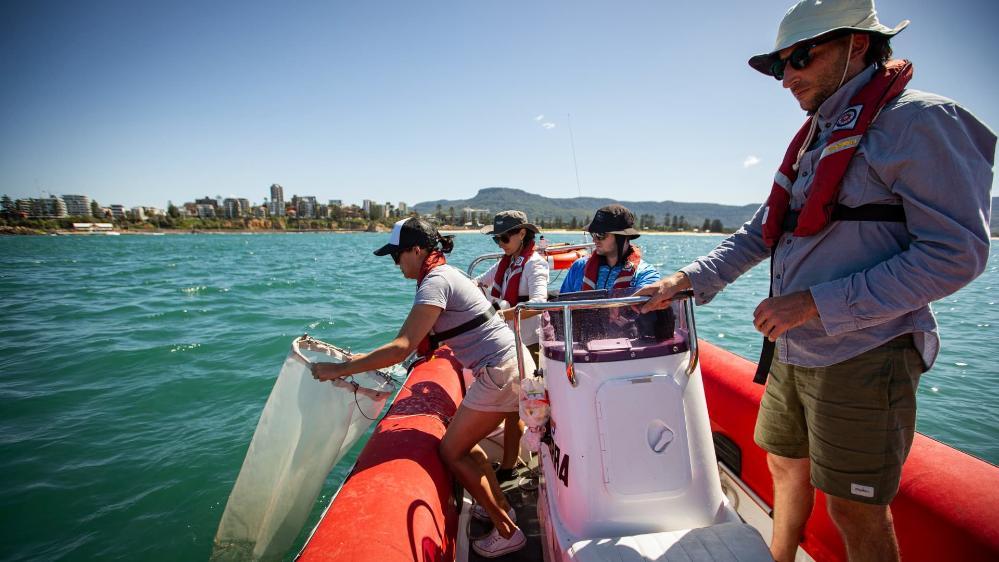 A group of students fish for plankton in the water off Wollongong. Photo: Paul Jones