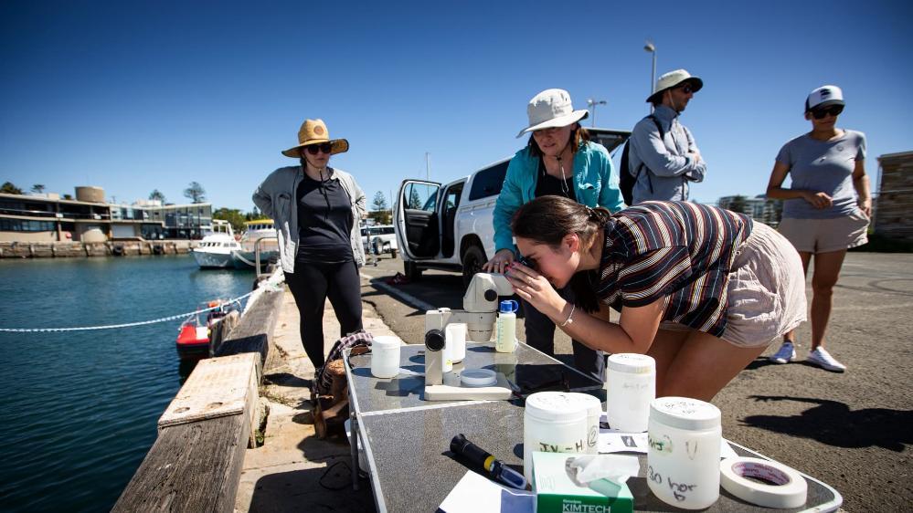 A group of students examine plankton caught in the waters off Wollongong. Photo: Paul Jones