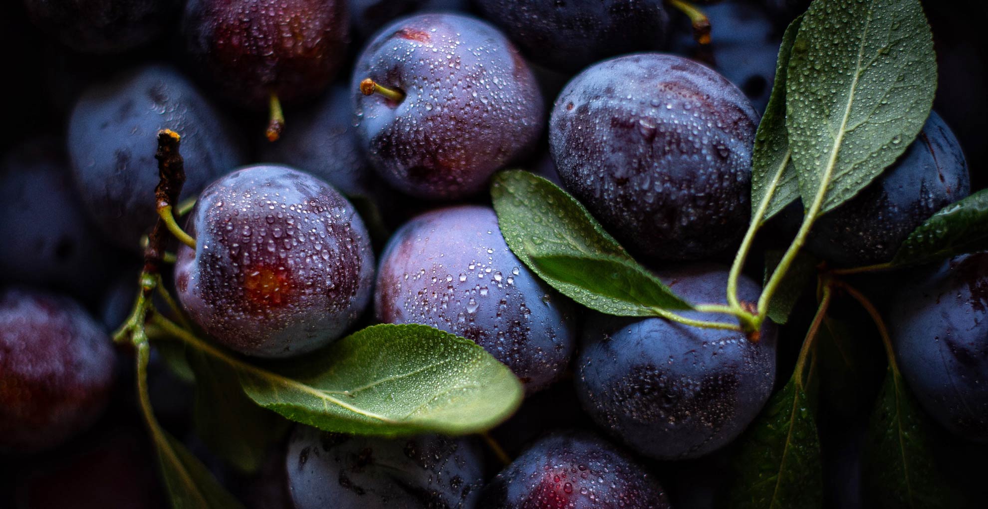 An image of purple plums. Photo: Unsplash