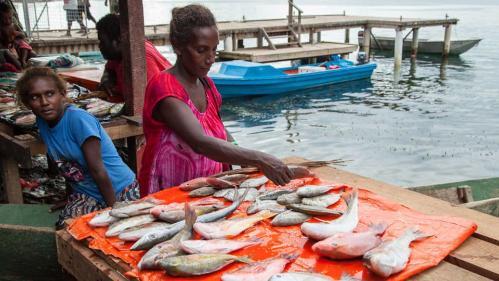 Women with reef fish for sale at Gizo market, by the ocean, Western Province, Solomon Islands. Photo by Filip Milovac, WorldFish