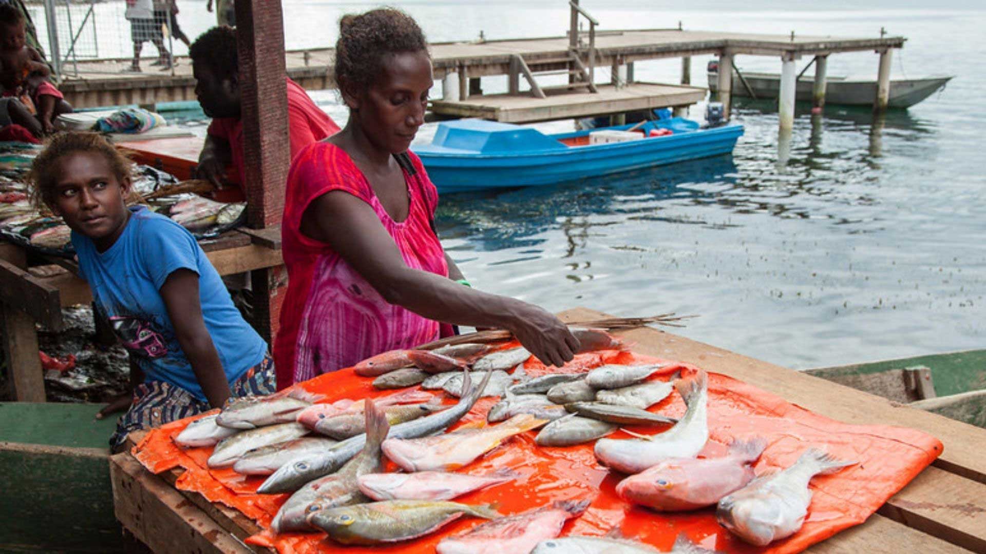 Women with reef fish for sale at Gizo market, by the ocean, Western Province, Solomon Islands. Photo by Filip Milovac, WorldFish