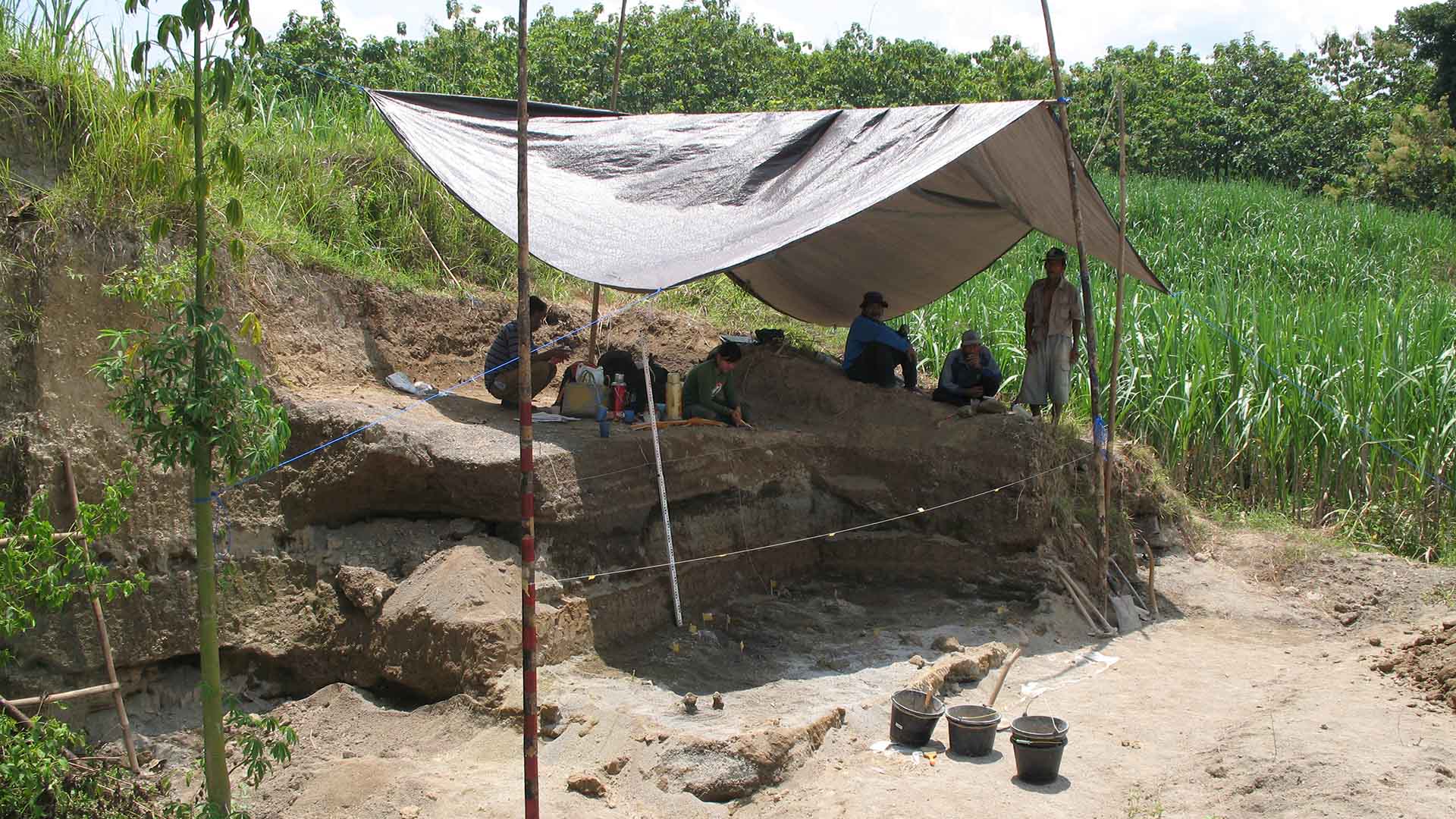 Archaeology dig site at Sembungan in Central Java, Indonesia