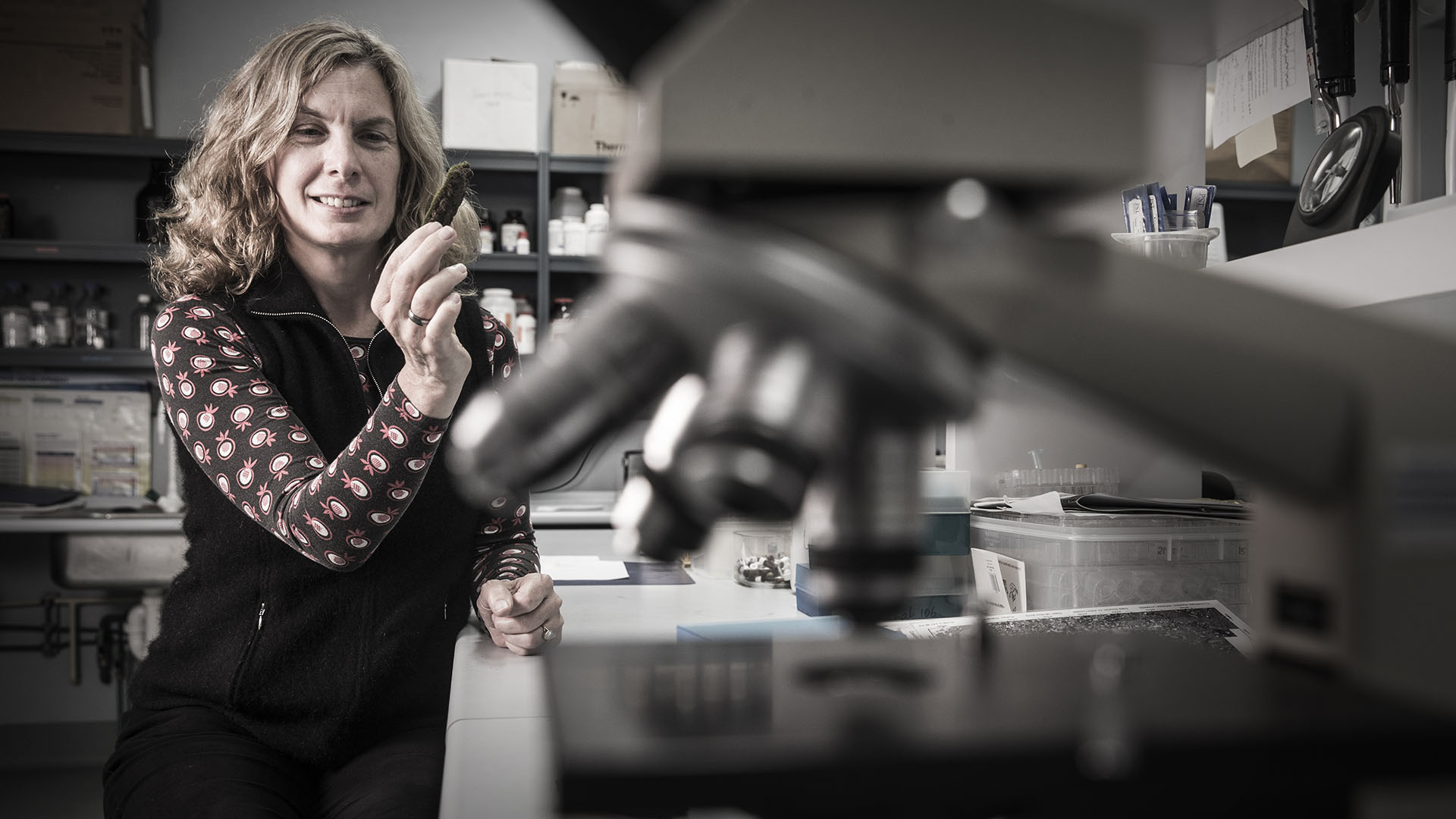 Senior Professor Sharon Robinson in the lab