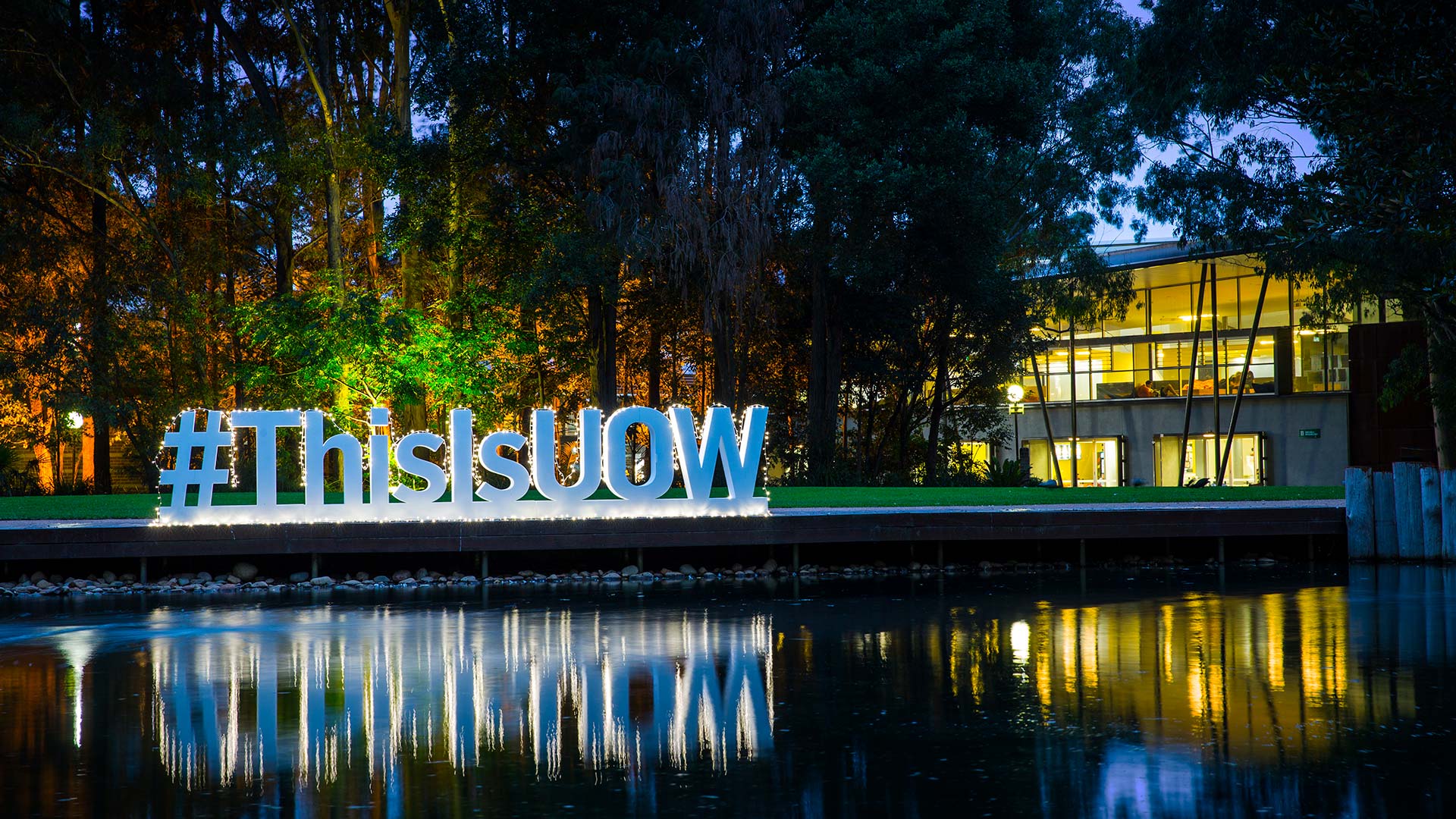 UOW Wollongong Campus duck pond lawn by night with #ThisIsUOW