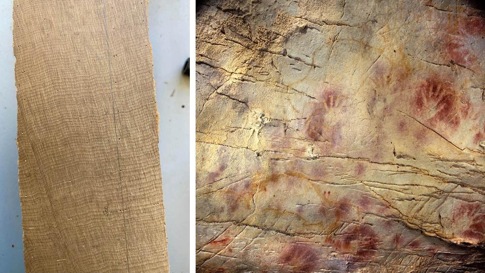 left: 5.	Rings on a slice of the Ngāwhā log. Photo: Jonathan Palmer. Right: 6.	Red ochre – which may have been used as an ancient form of sunscreen – is a common cave art motif. The centre of this cave art from Spain is believed to be almost 42,000 years old. Photo: Paul Pettitt, courtesy Gobierno de Cantabria.
