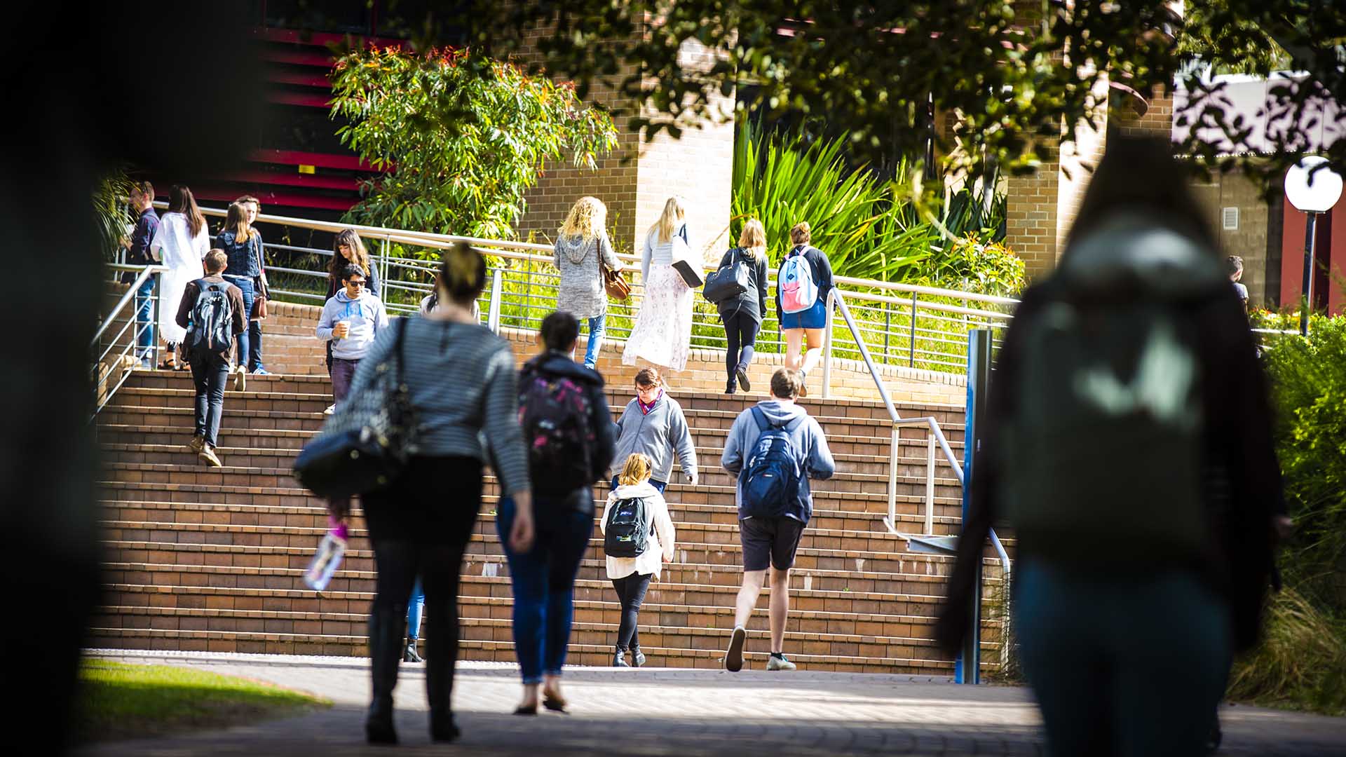 Students walking between classes on the UOW Wollongong Campus