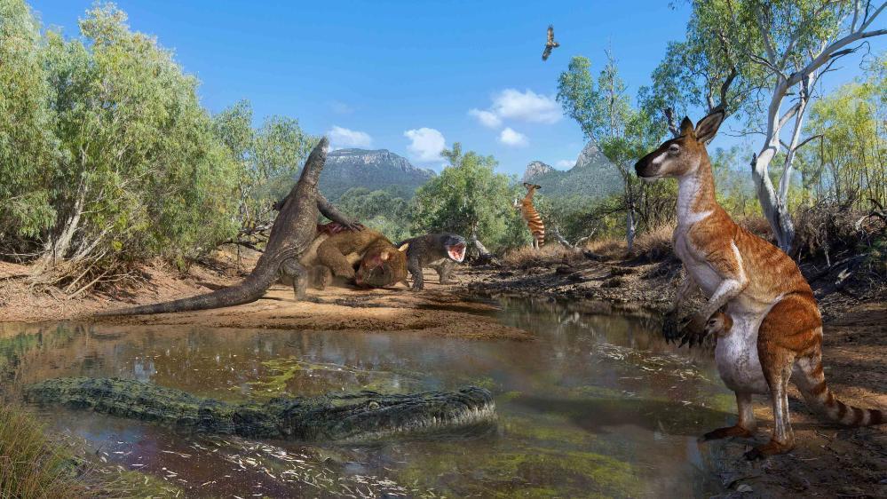 Artist's impression of megafauna at South Walker Creek site in Queensland