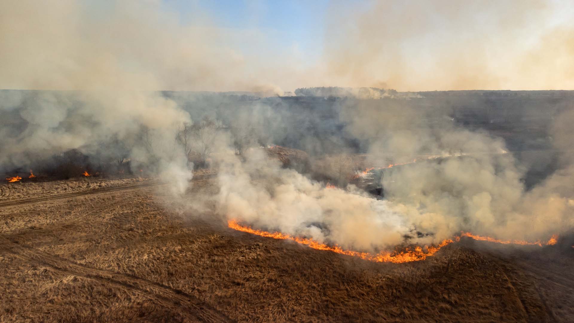 Dr Valentina Wheeler, bushfire modelling