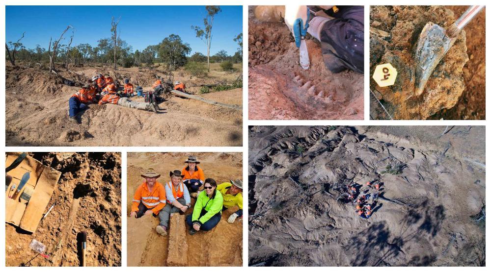 Collage of photographs from the South Walker Creek paleontology dig site