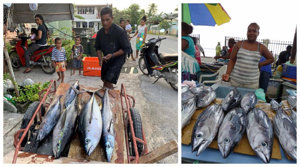 Tuna for sale in markets in Tuvalu and the Solomon Islands. Pictures Johann Bell