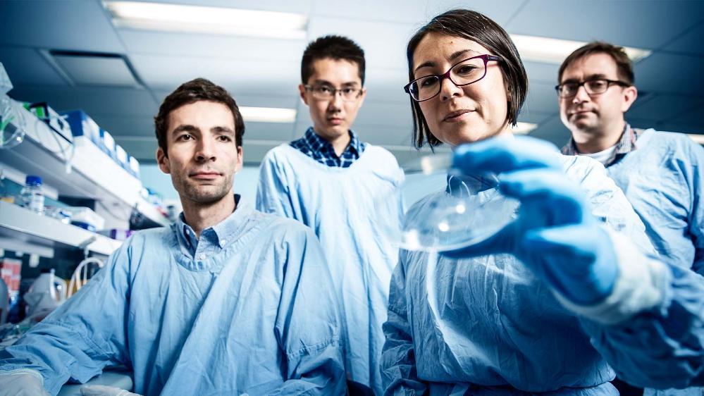 Professor Lezanne Ooi and scientists in a lab