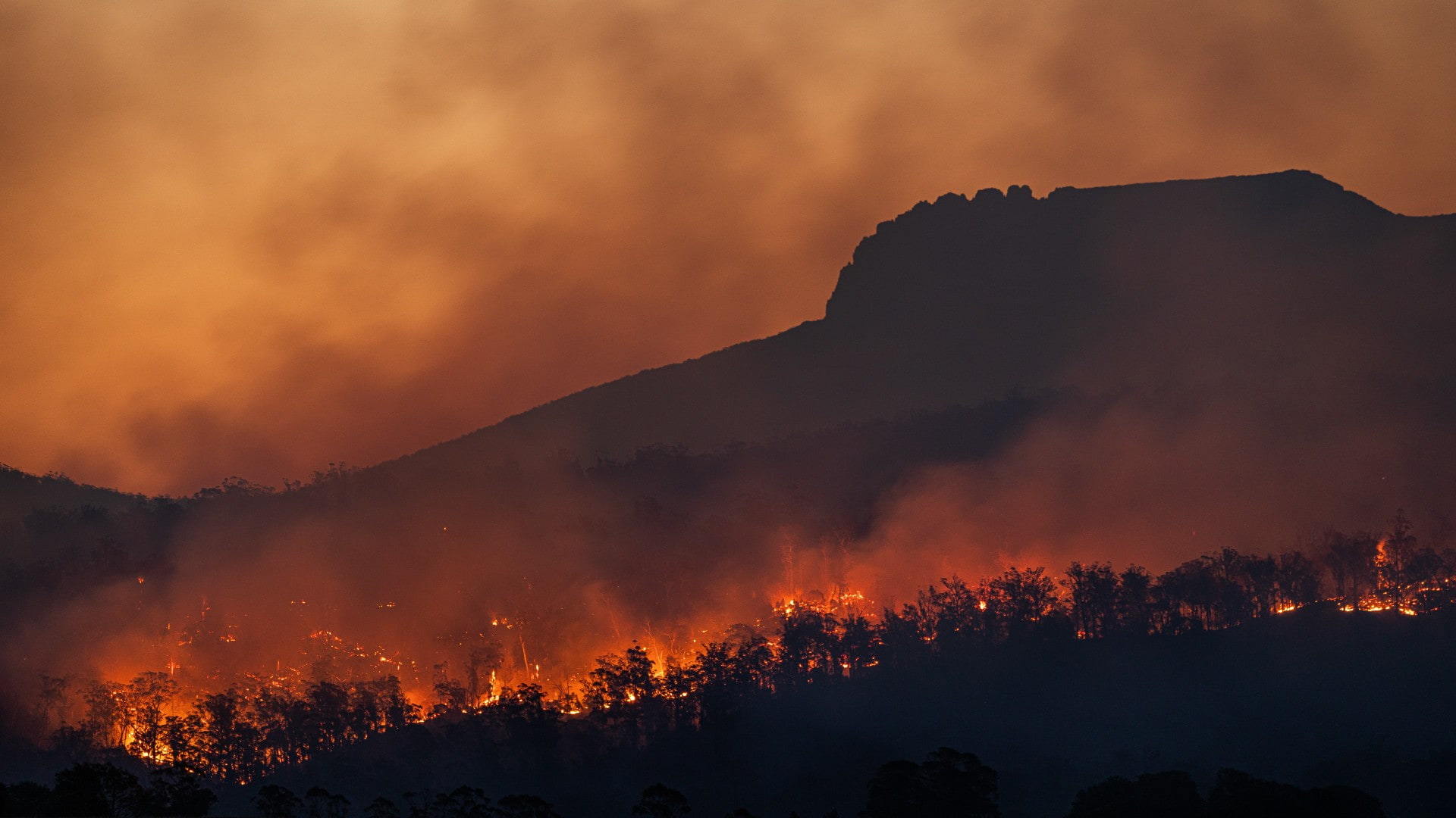 An image of bushfires burning in Australia. Photo: Matt Palmer/Unsplash