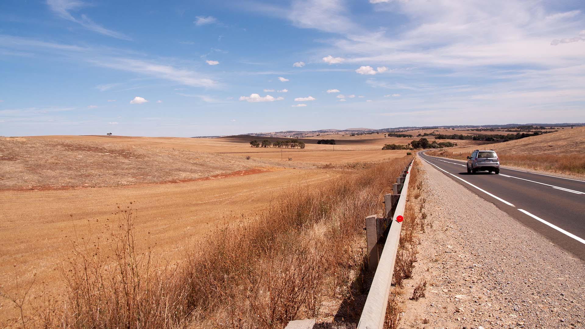 Weeds alongside a road in drought stricken rural Australia