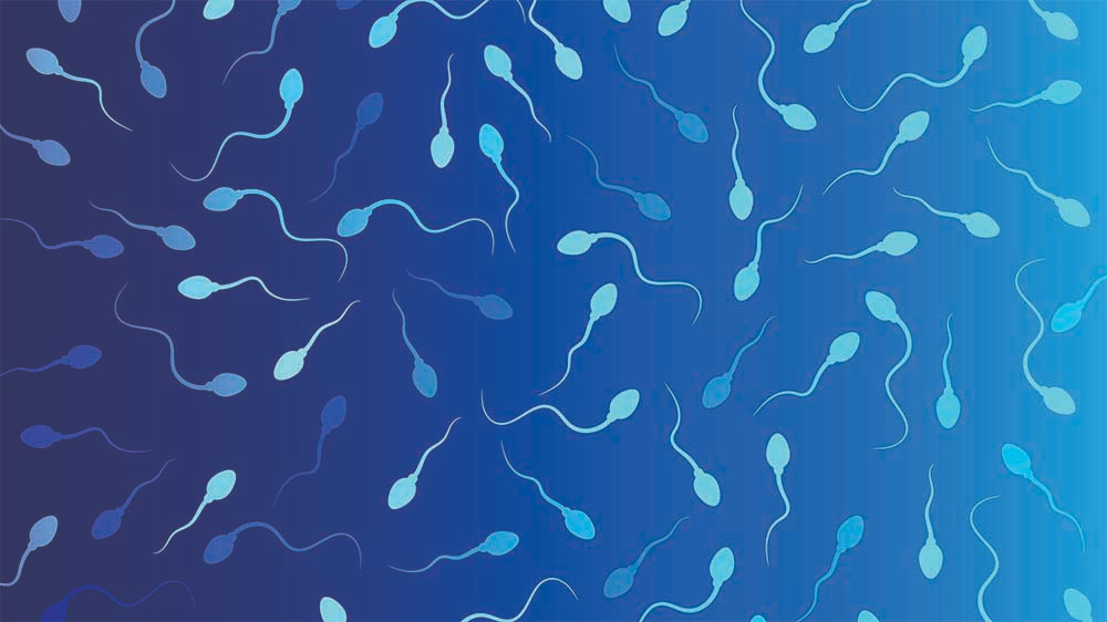 Can Sperm Survive in Water: Shocking Facts You Need to Know