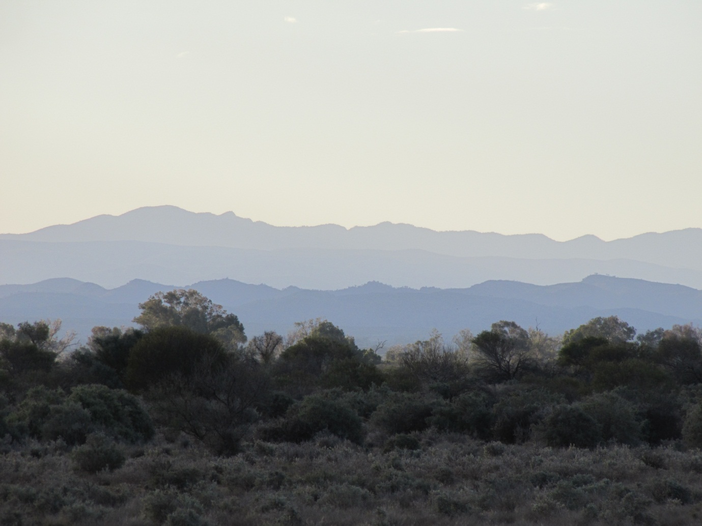 WIGL Flinders Range Skyline
