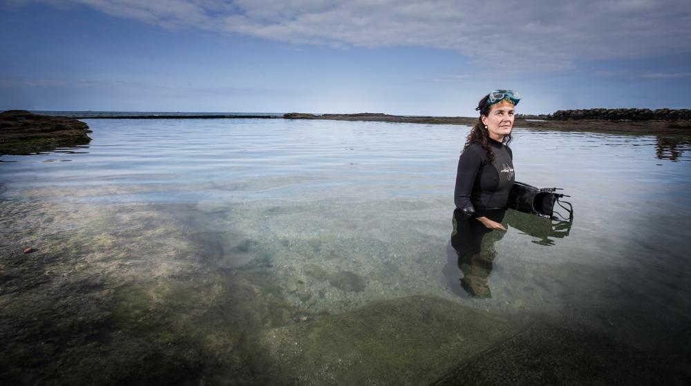 UOW researcher Dr Karen Raubenheimer, pictured in the ocean. Photo: Paul Jones