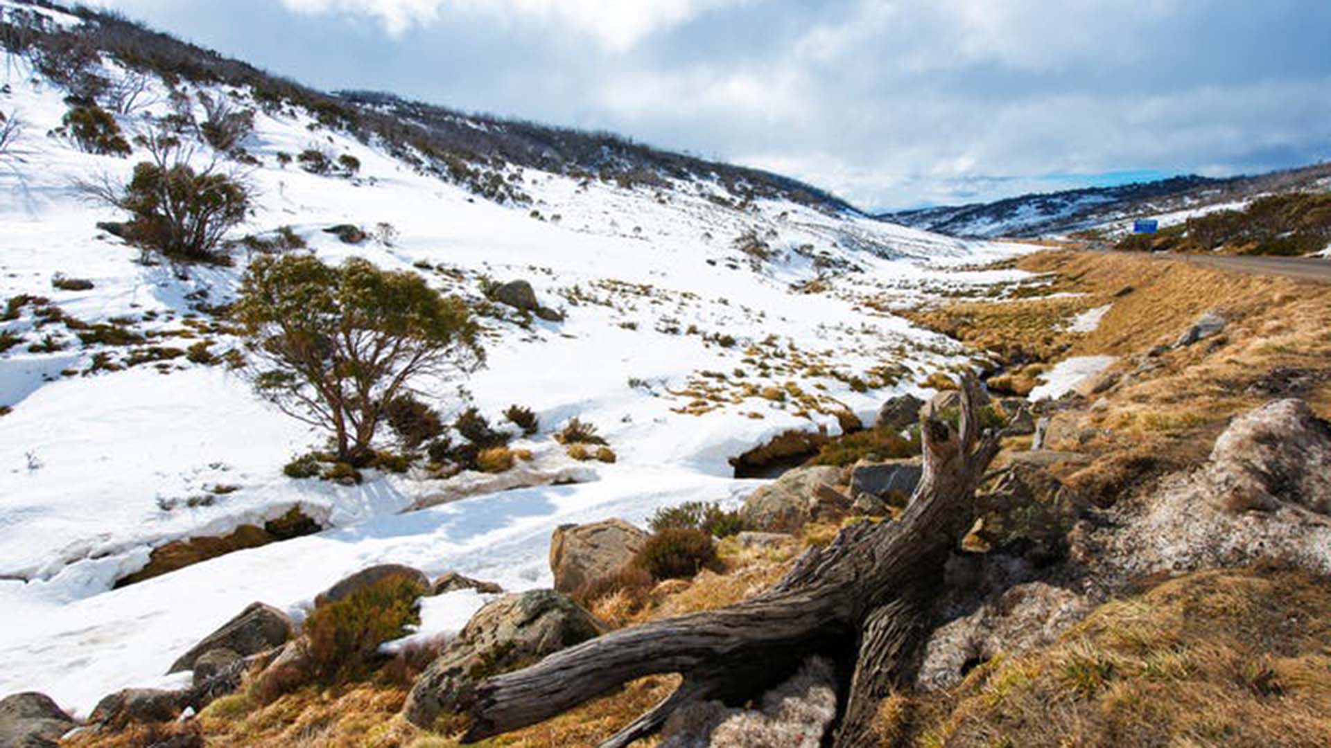 1,600 years ago, climate change hit the Australian Alps