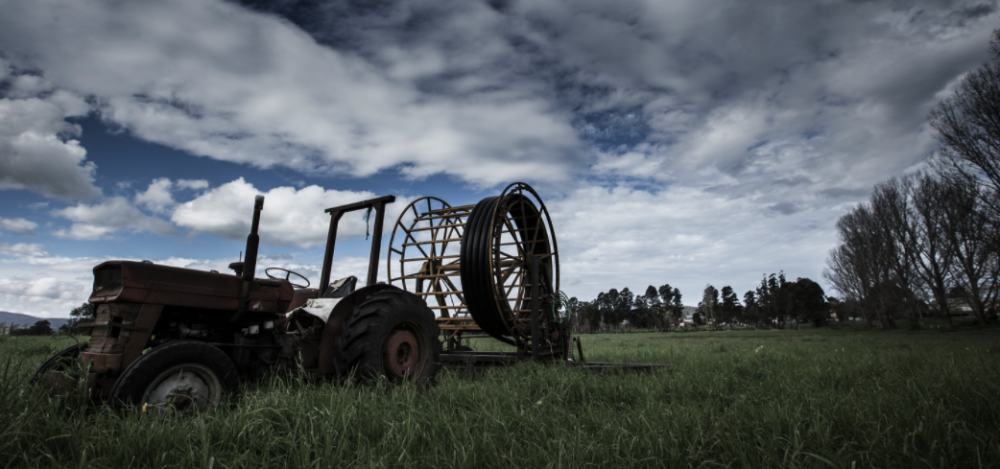 Farmers needed for new UOW study on antibiotic use in farm animals