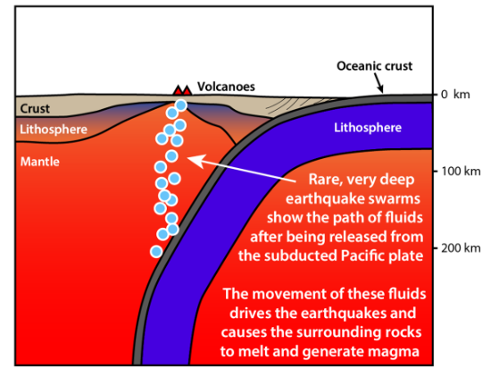 Rare deep earthquake swarms show the path fluids through the mantle.