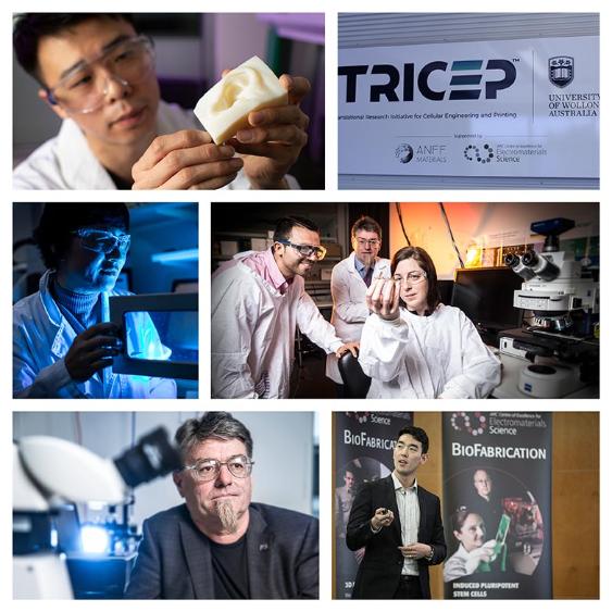 Collage of biomedical research images