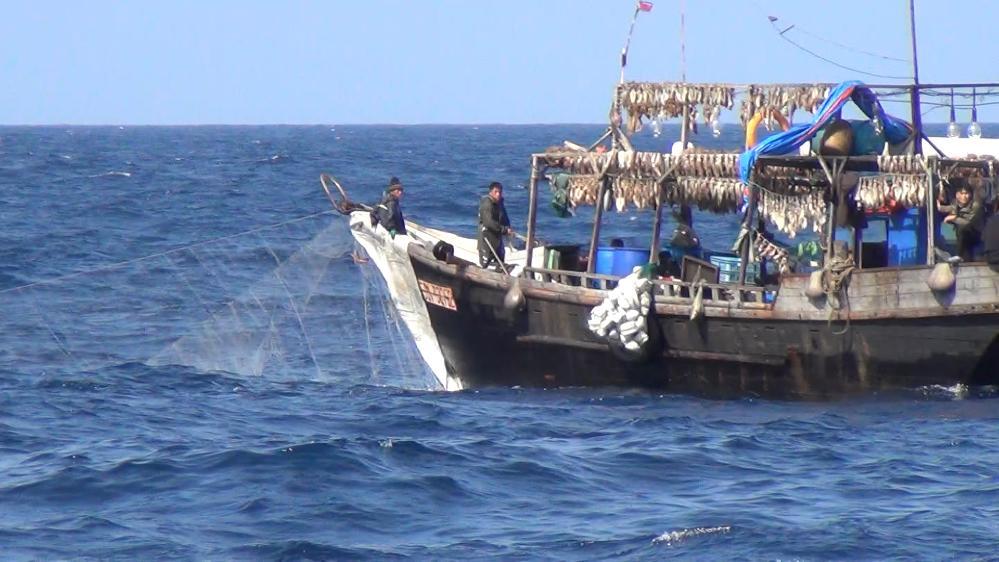 Chinese fishing boats took half a billion dollars of illegal squid from North Korea. Scientists used satellites to catch them out