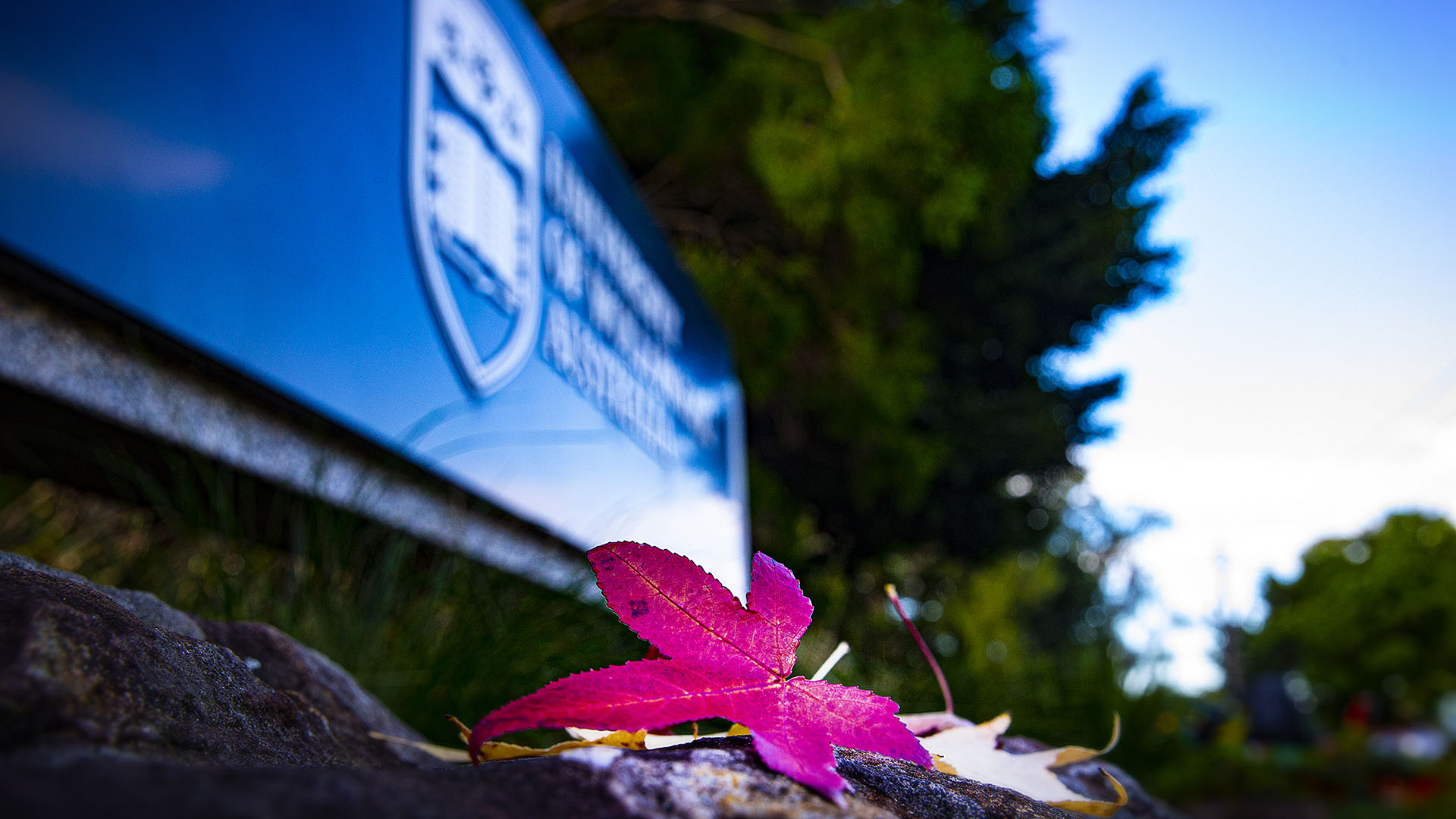 The University of Wollongong stands in solidarity with the people of Ukraine